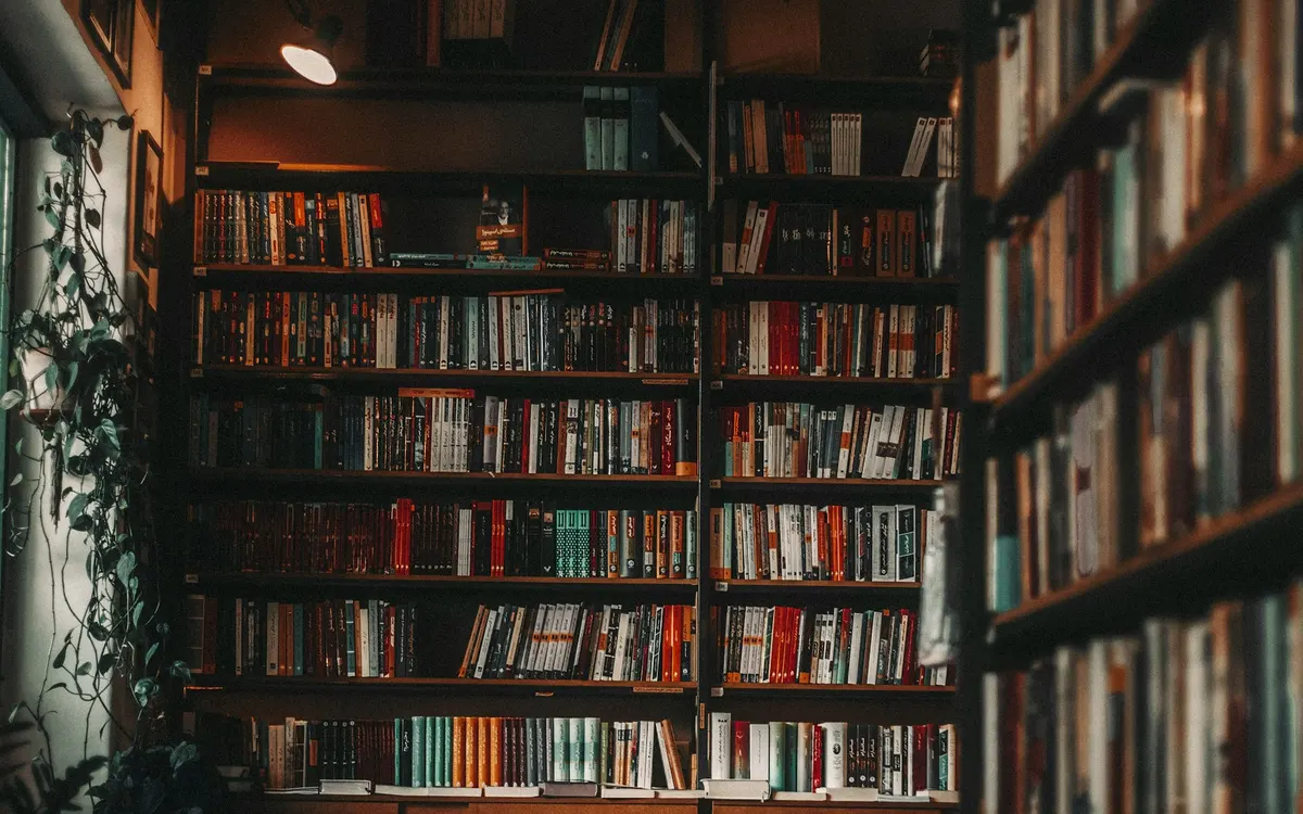 Biblioteca doméstica cheia de livros